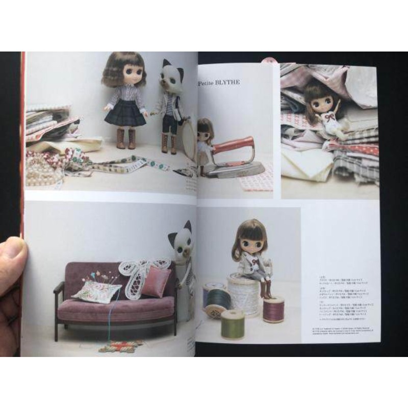Grundlagen zum Erstellen von P – Japanese Lifestyle Books Bewertung und Preis
